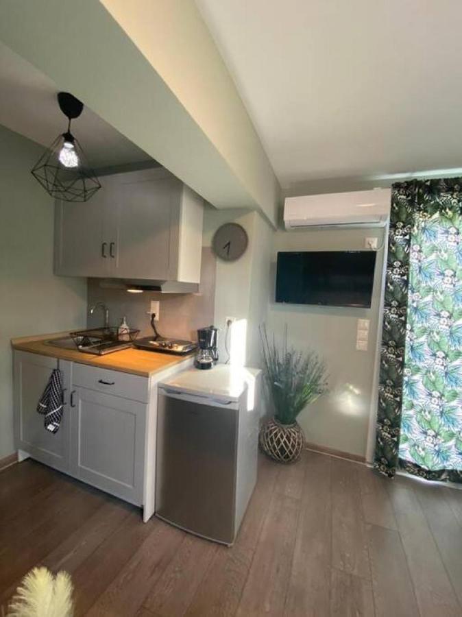 Rooftop Apartment With Garden In Ioannina Exterior foto